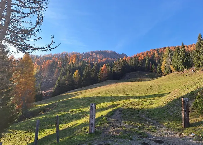 Hébergement de vacances Adlerhuette Stall
