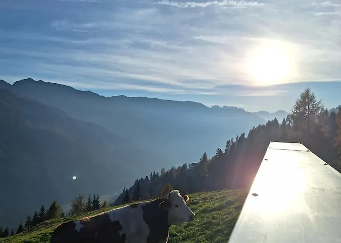 Adlerhuette Hébergement de vacances